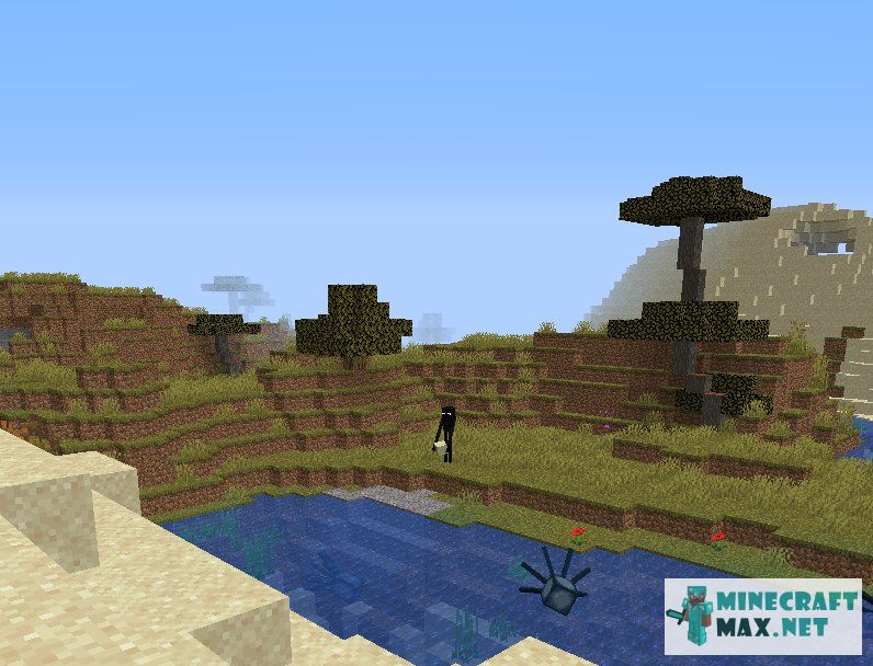 Black gem in Minecraft | Screenshot 1054