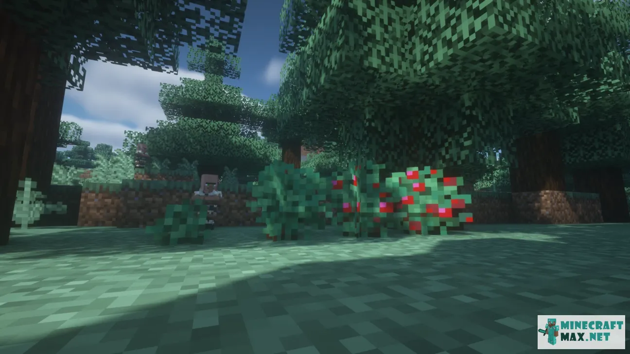 Oxeo's Better Berries! READ DESCRIPTION! | Download texture for Minecraft: 1
