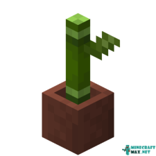 Potted Bamboo in Minecraft