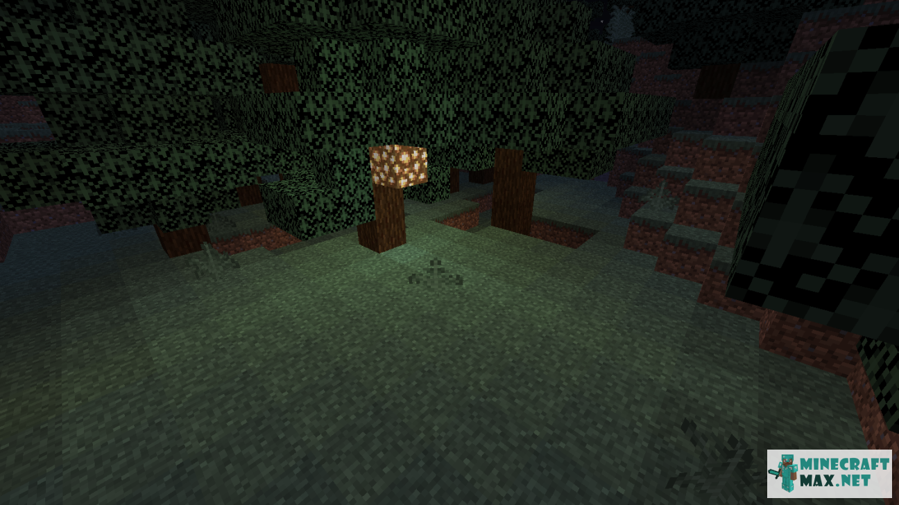 Black gem in Minecraft | Screenshot 29