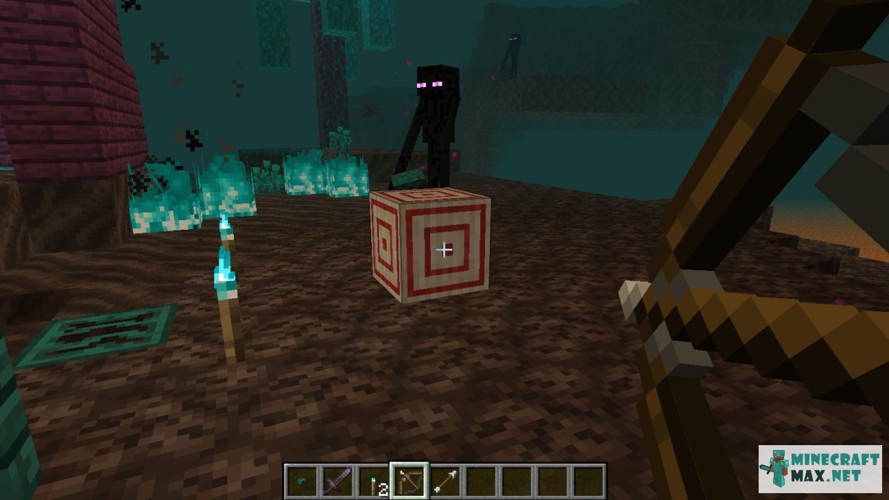 Target in Minecraft | Screenshot 2