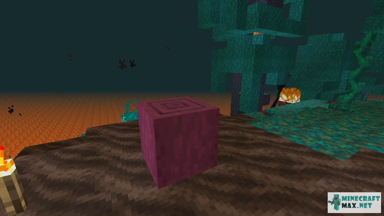 Modem in Minecraft | Screenshot 1993