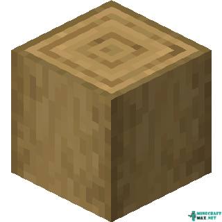 Stripped Oak Log in Minecraft