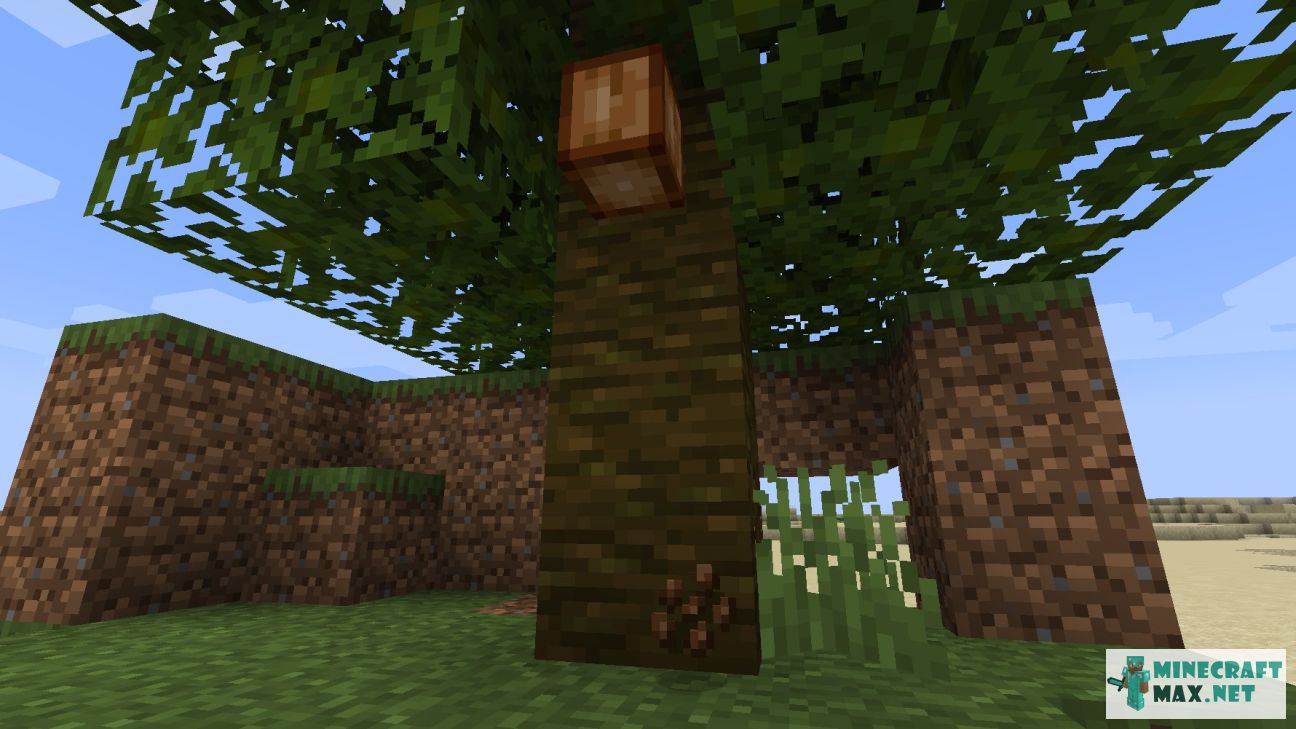 Modem in Minecraft | Screenshot 3487