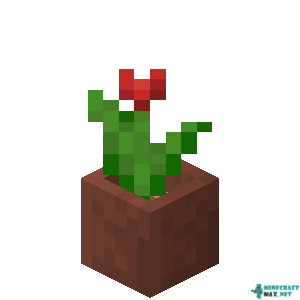 Potted Red Tulip in Minecraft