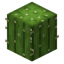 Cactus in Minecraft