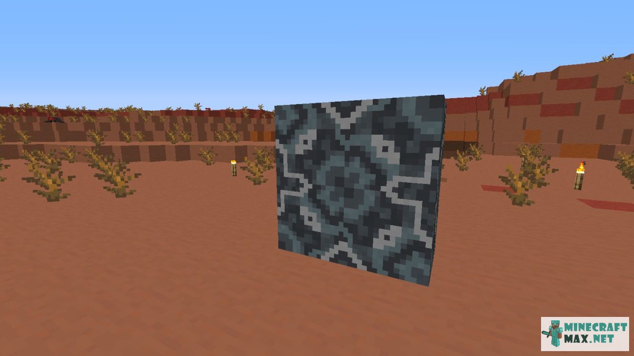 Black gem in Minecraft | Screenshot 2316