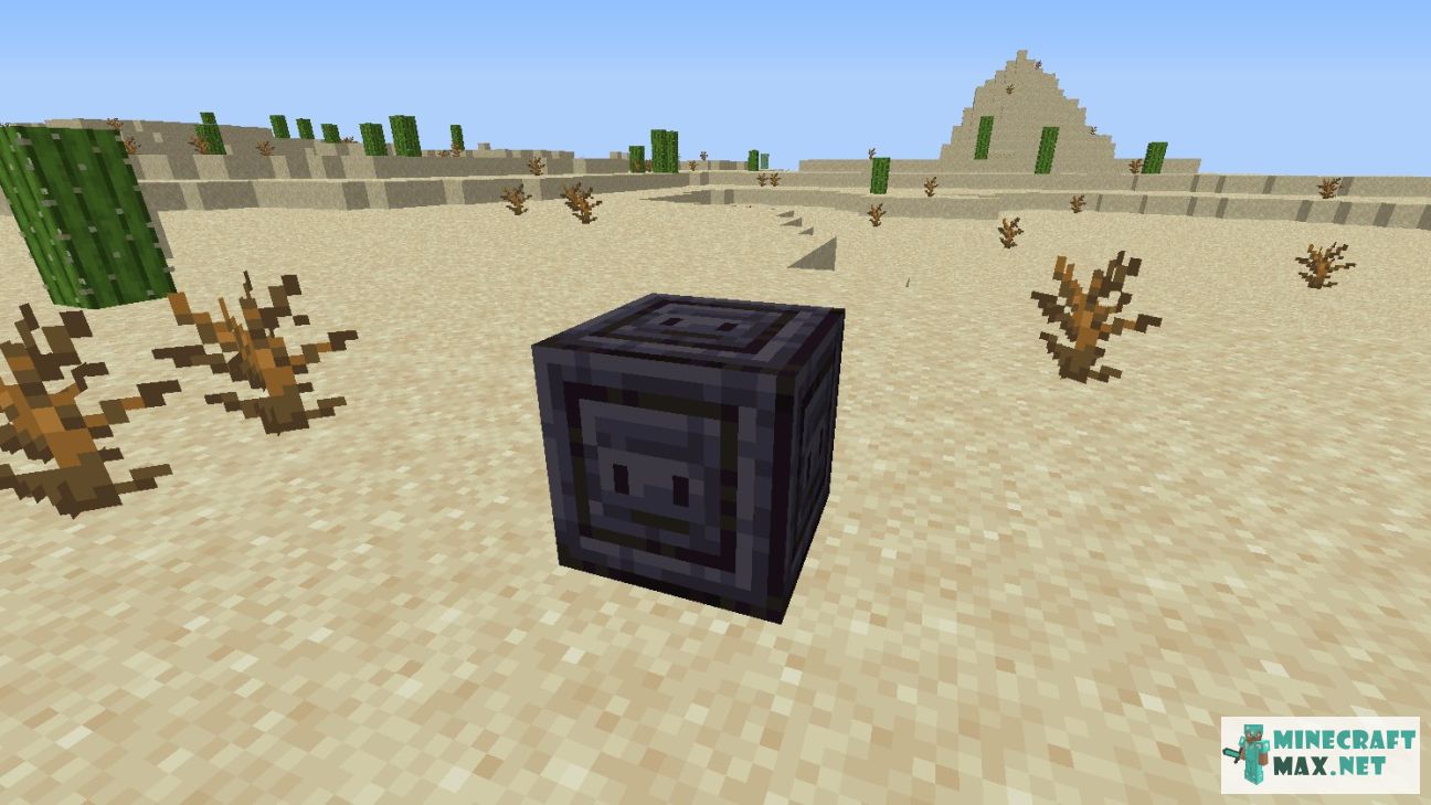 Black gem in Minecraft | Screenshot 2929