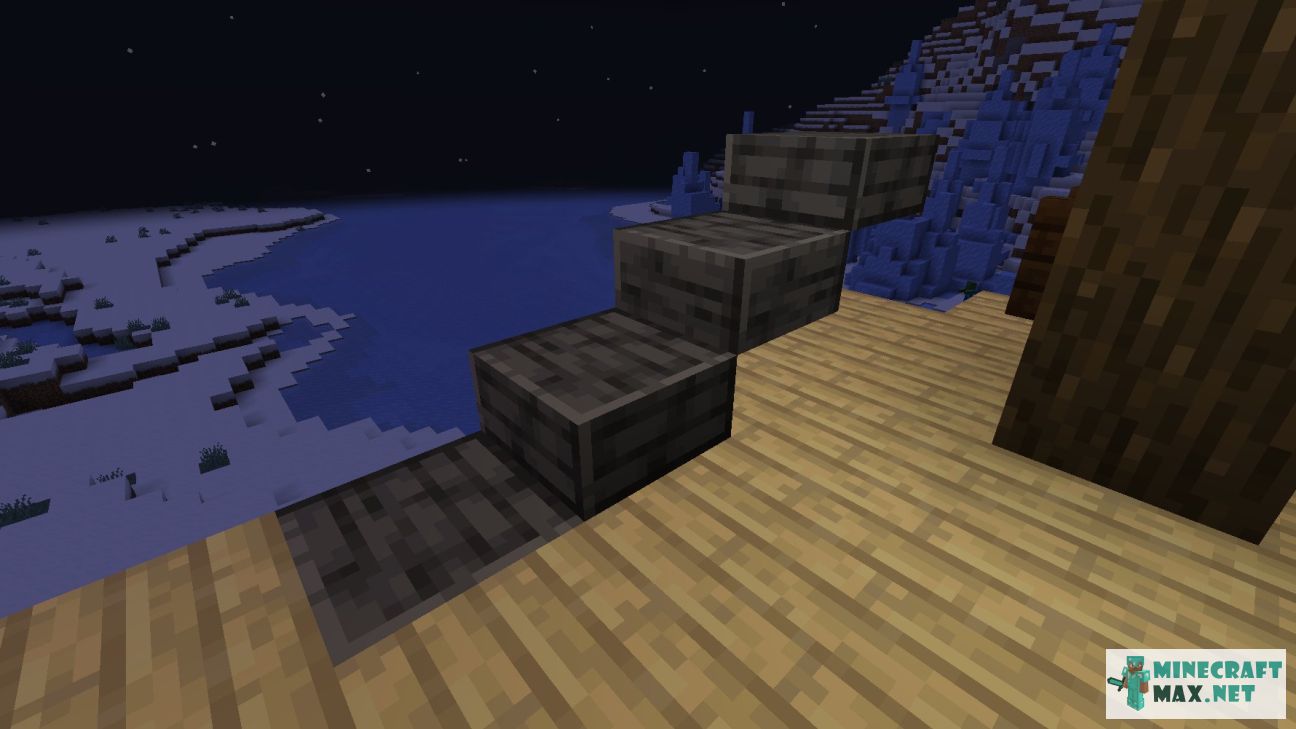 Black gem in Minecraft | Screenshot 3425