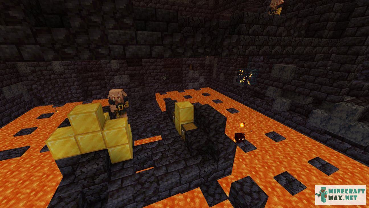 Black gem in Minecraft | Screenshot 3073