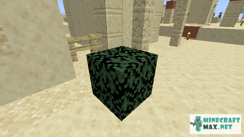 Black gem in Minecraft | Screenshot 469