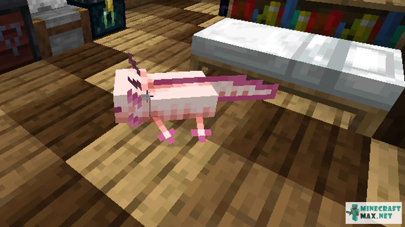 More axolotl variant | Download texture for Minecraft: 1