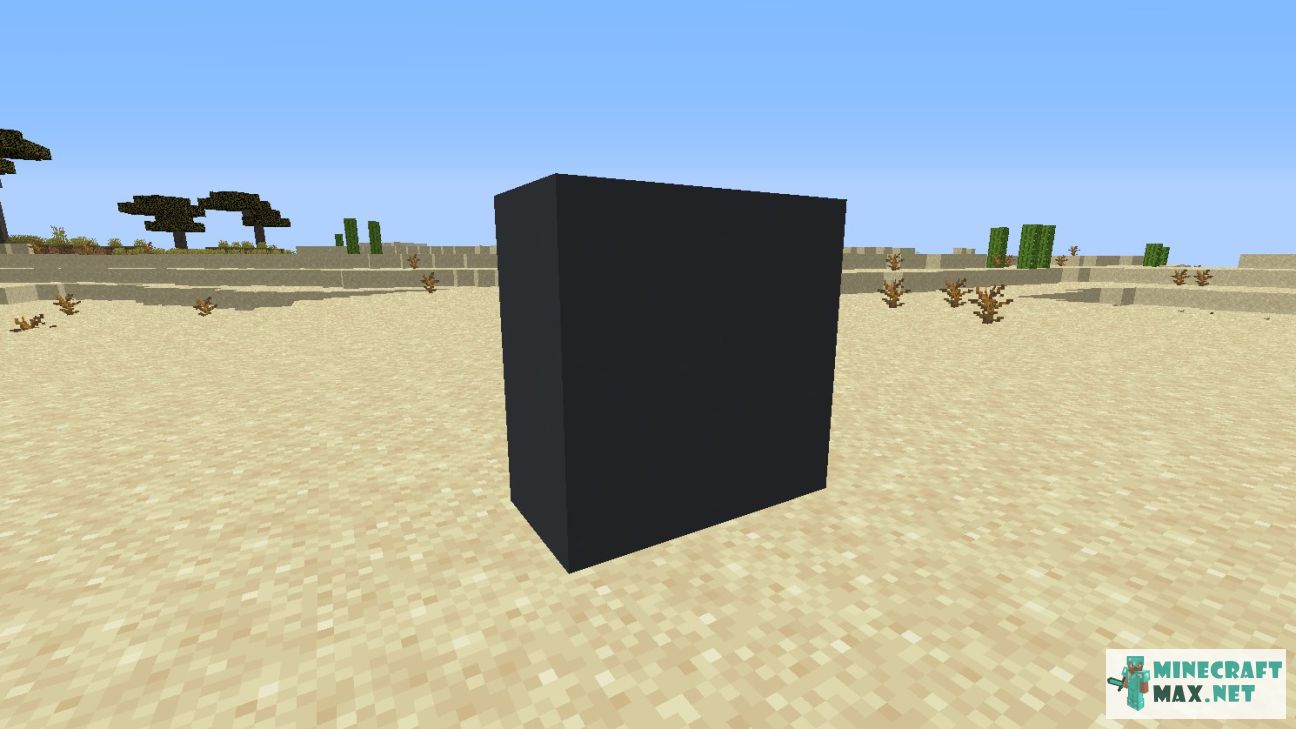 Black gem in Minecraft | Screenshot 2699