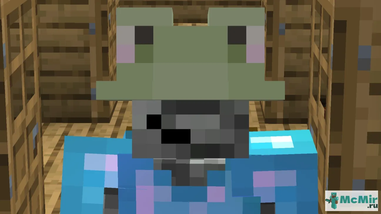 Текстура Шляпа-лягушка | Скачать текстуру для Minecraft: 1