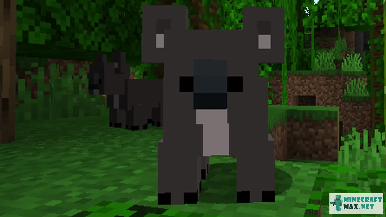 Koalas | Download texture for Minecraft: 1