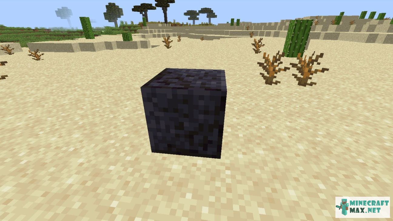 Black gem in Minecraft | Screenshot 2934
