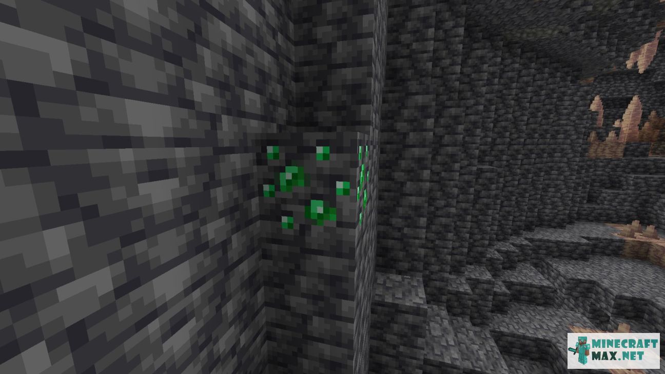 Black gem in Minecraft | Screenshot 3276