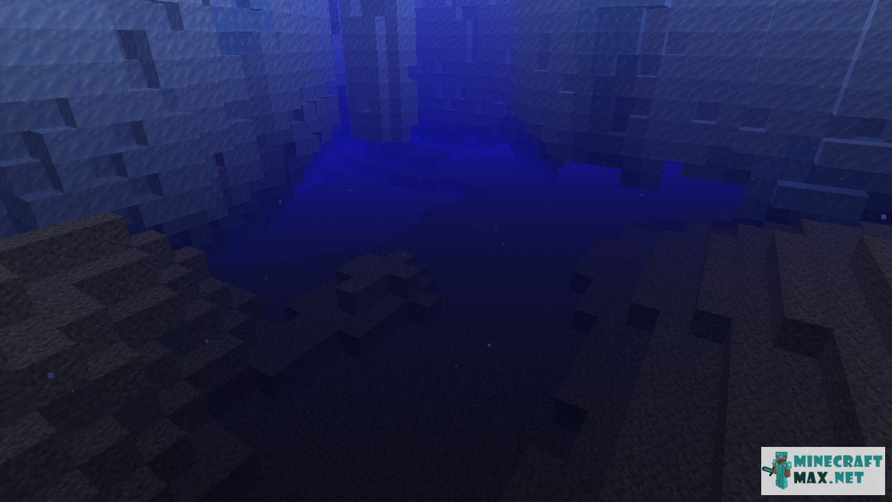 Black gem in Minecraft | Screenshot 1392