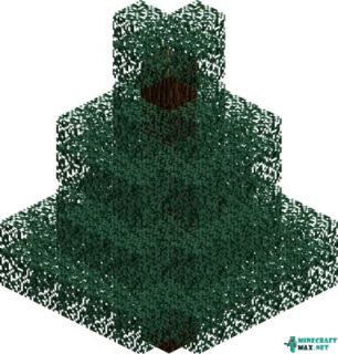 Spruce (tree) in Minecraft