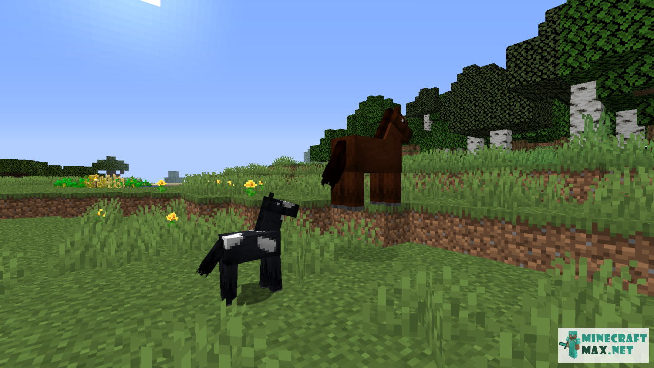 Black gem in Minecraft | Screenshot 1242