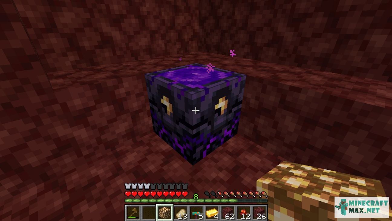 Black gem in Minecraft | Screenshot 2646