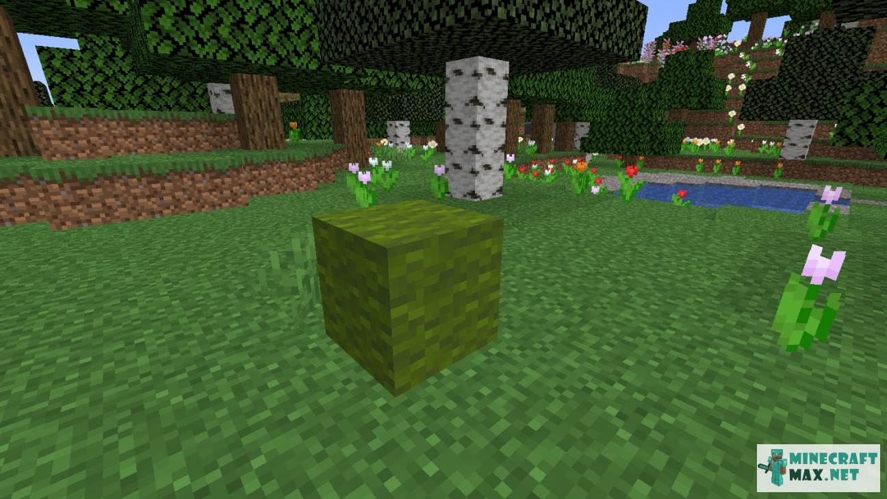 Modem in Minecraft | Screenshot 1193