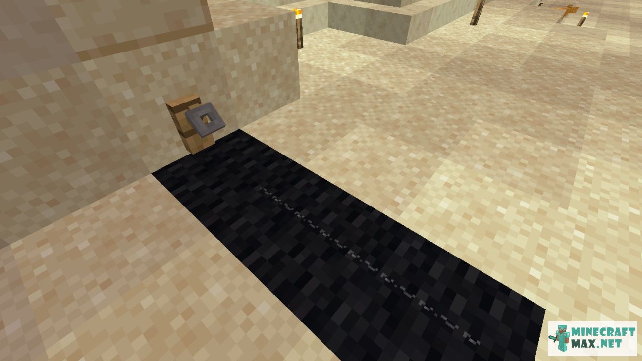 Black gem in Minecraft | Screenshot 186