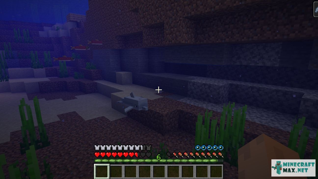 Dolphin's Grace in Minecraft | Screenshot 1