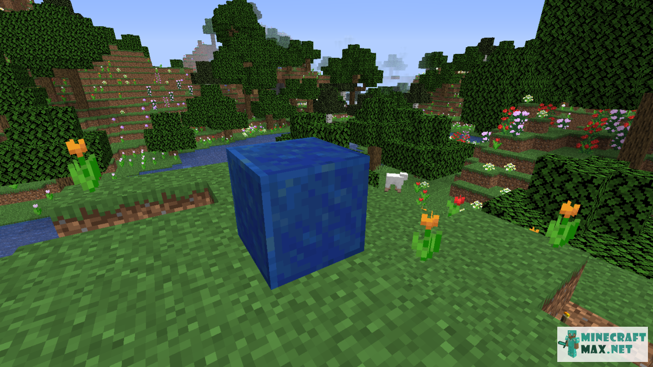 Black gem in Minecraft | Screenshot 479