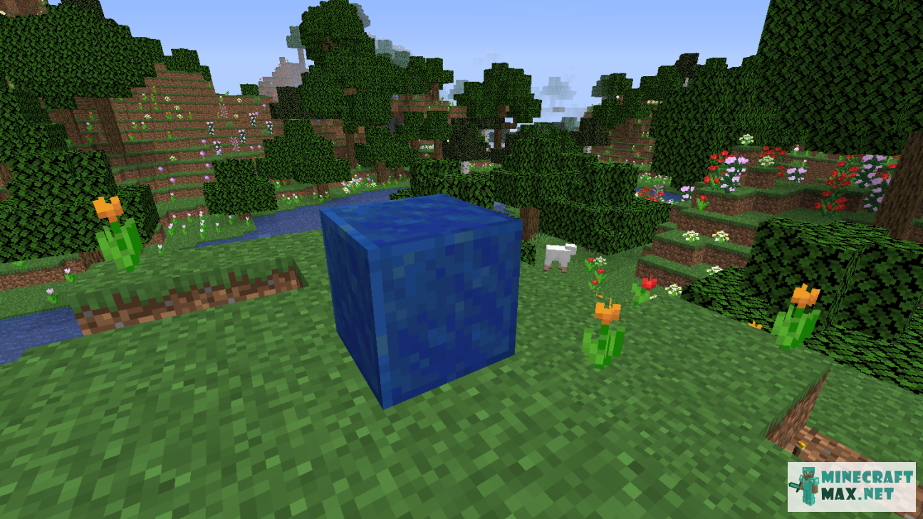 Modem in Minecraft | Screenshot 482