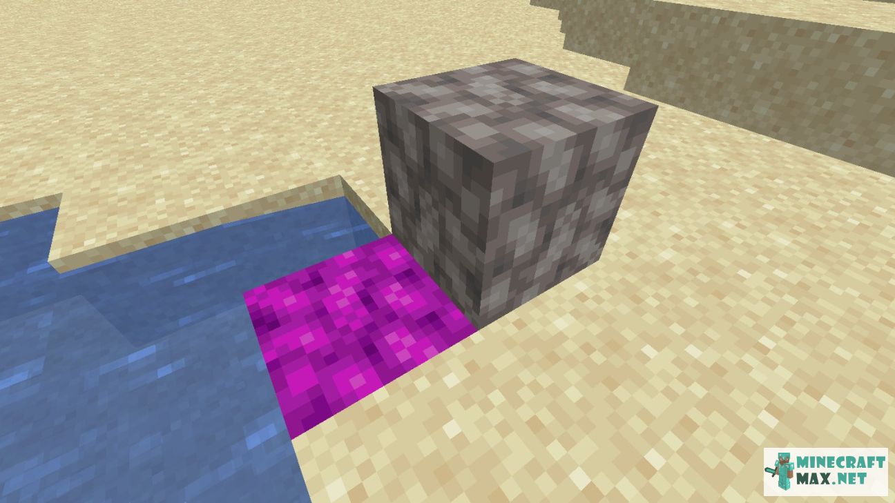 Dead Bubble Coral Block in Minecraft | Screenshot 1