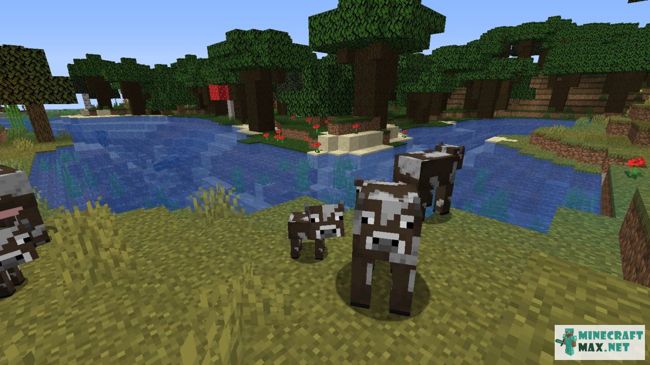 Black gem in Minecraft | Screenshot 1241