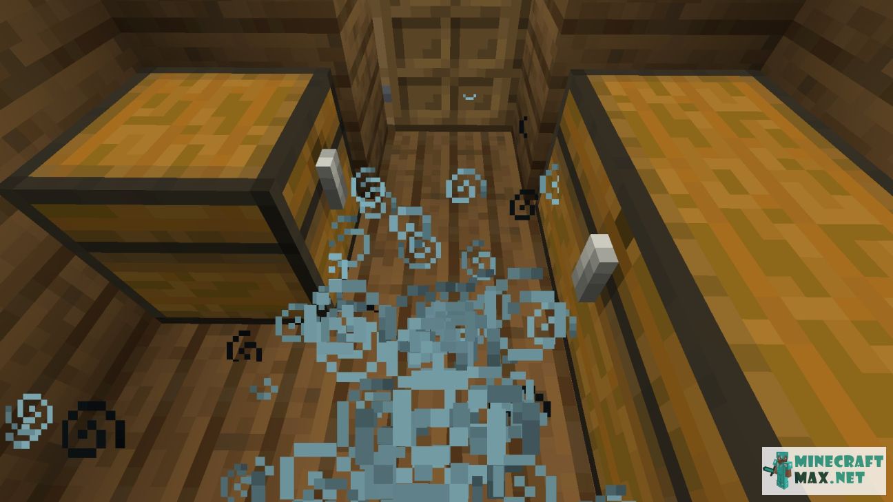 Black gem in Minecraft | Screenshot 2594