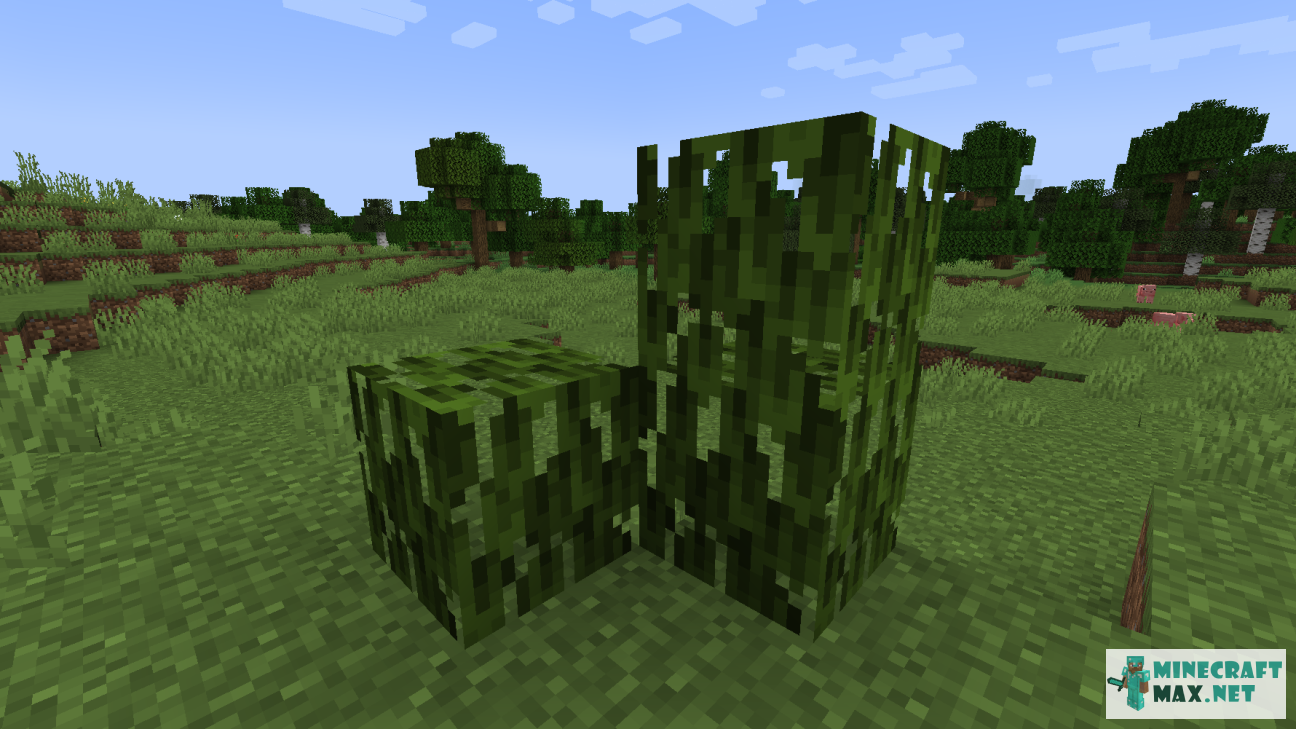Mangrove Leaves in Minecraft | Screenshot 1