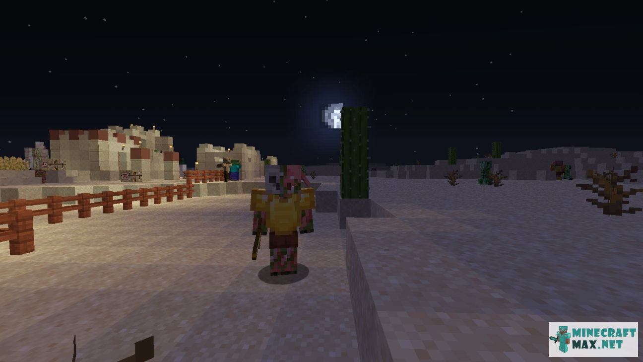 Modem in Minecraft | Screenshot 3029