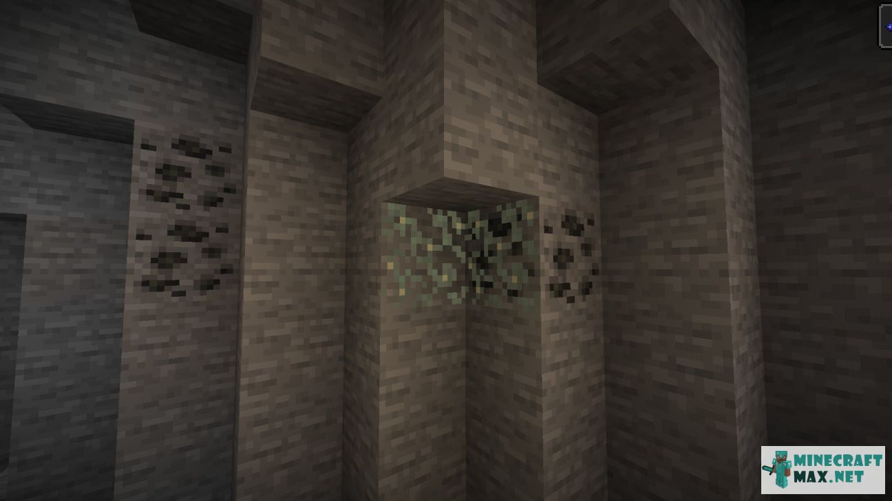 Black gem in Minecraft | Screenshot 3414