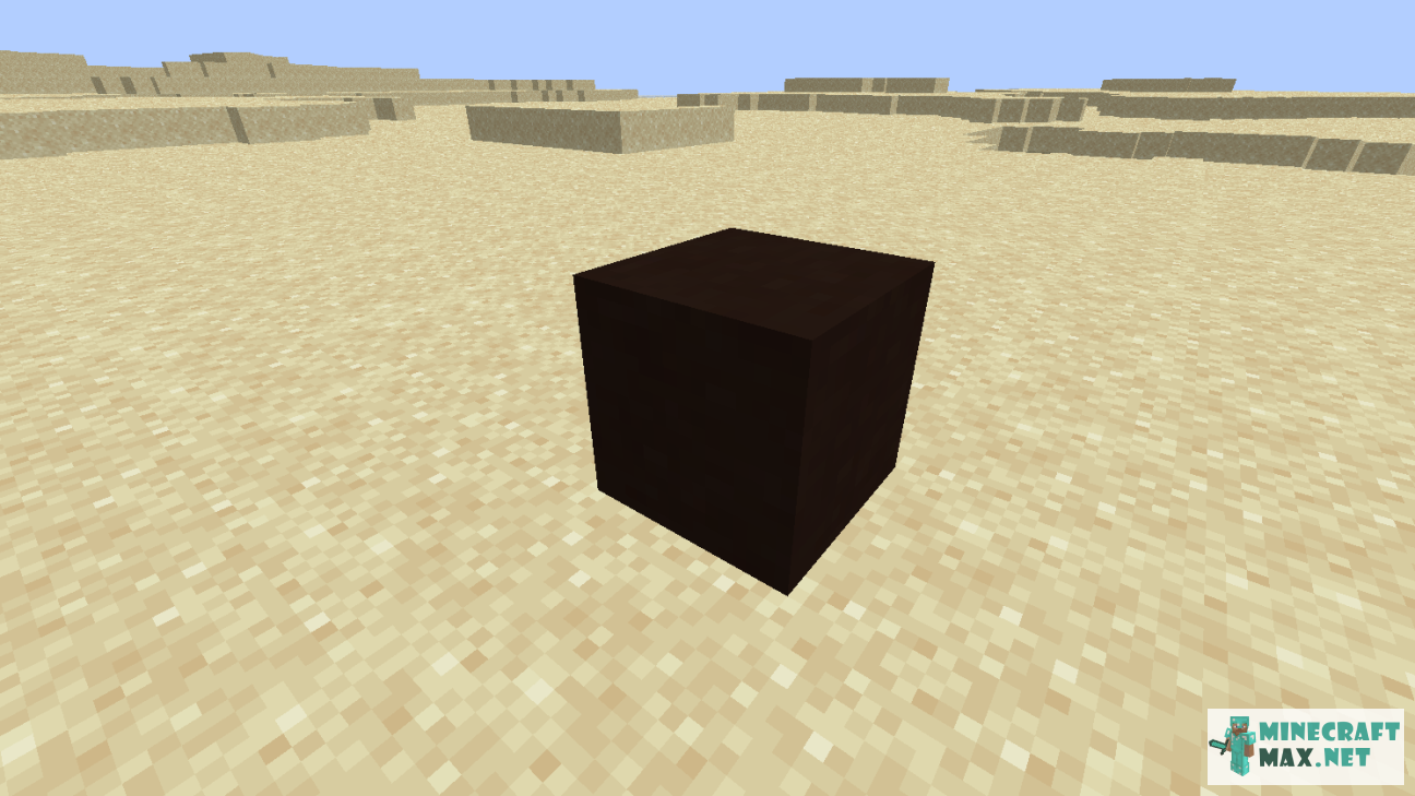Black gem in Minecraft | Screenshot 1163