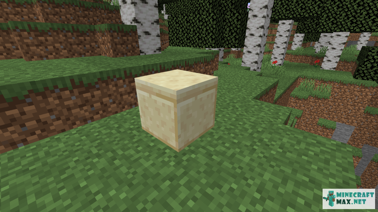 Modem in Minecraft | Screenshot 1872