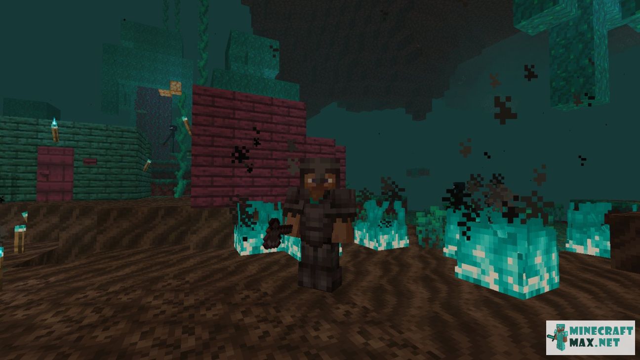 Black gem in Minecraft | Screenshot 2028