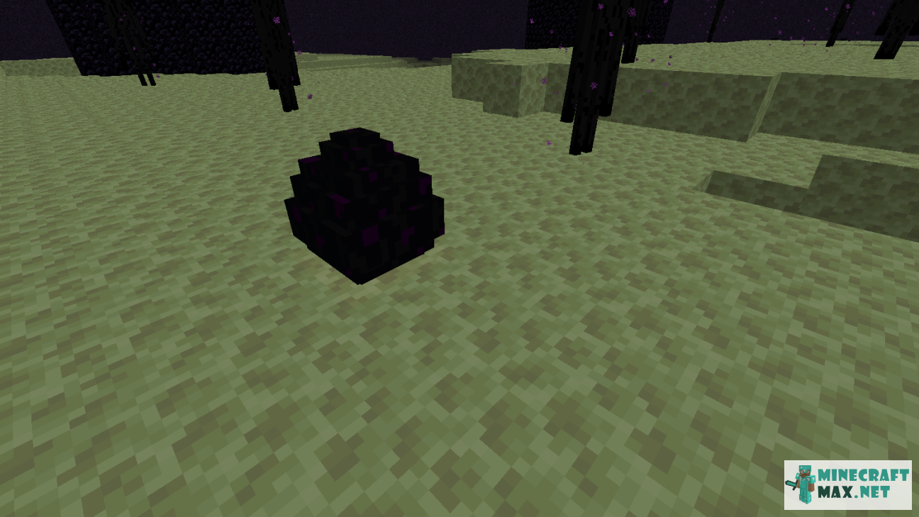 Black gem in Minecraft | Screenshot 566