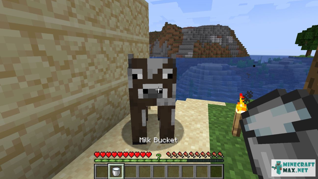 Black gem in Minecraft | Screenshot 713