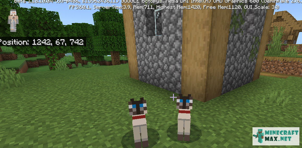 Quests Tame siamese cat for Minecraft | Screenshot 4