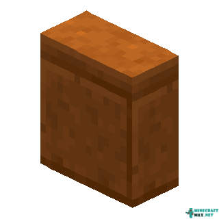 Vertical Cut Red Sandstone Slab in Minecraft