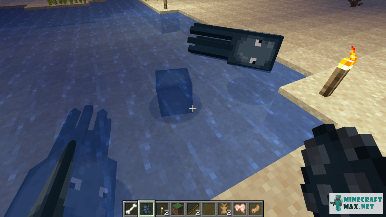 Black gem in Minecraft | Screenshot 1467