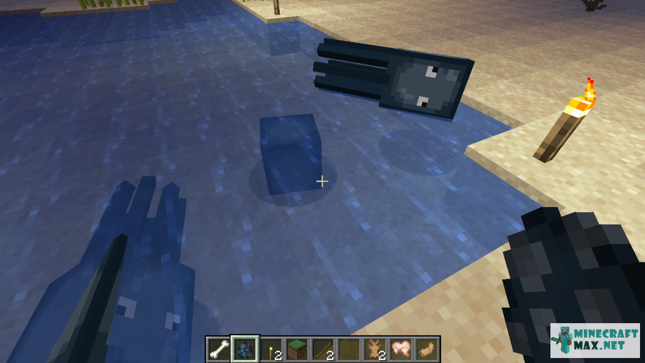 Modem in Minecraft | Screenshot 1469