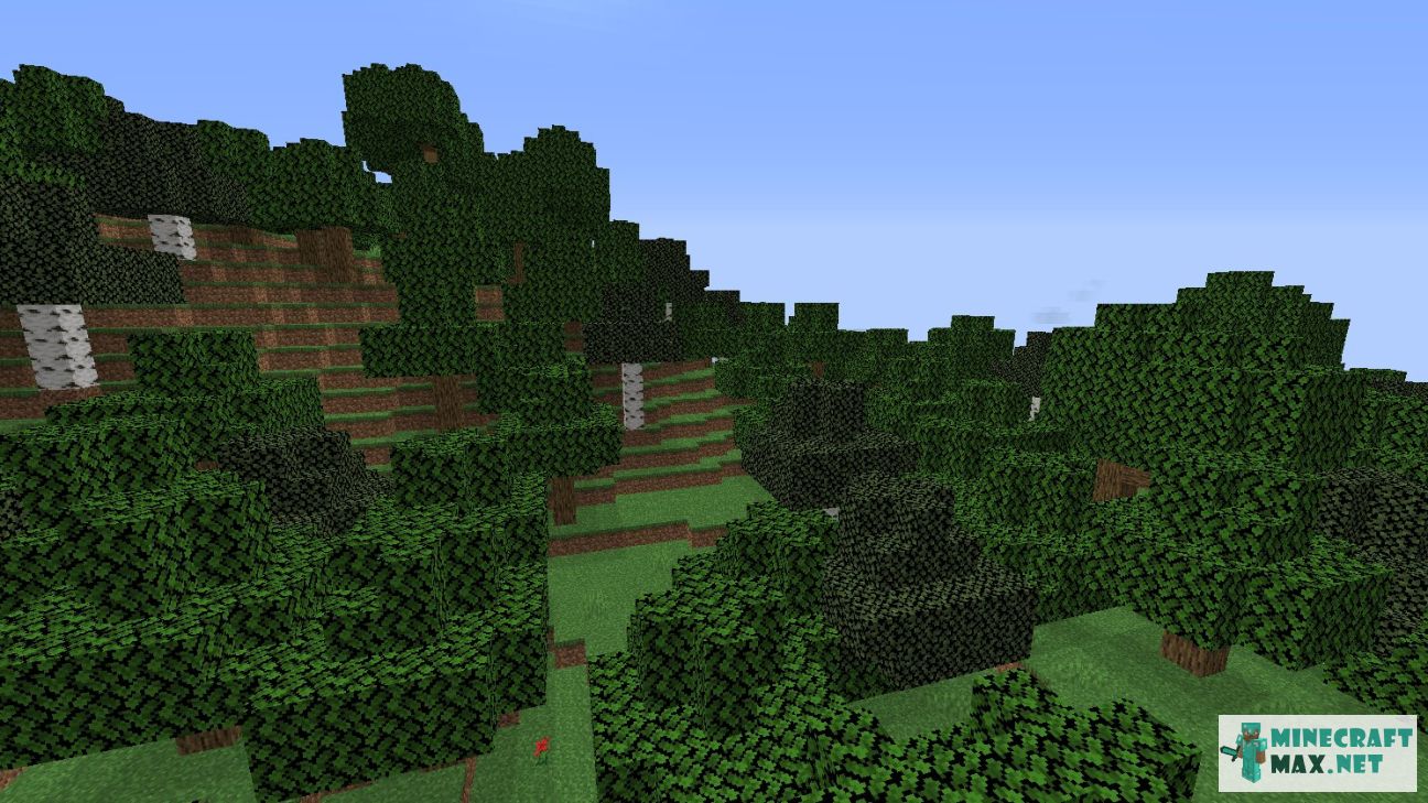 Black gem in Minecraft | Screenshot 1049