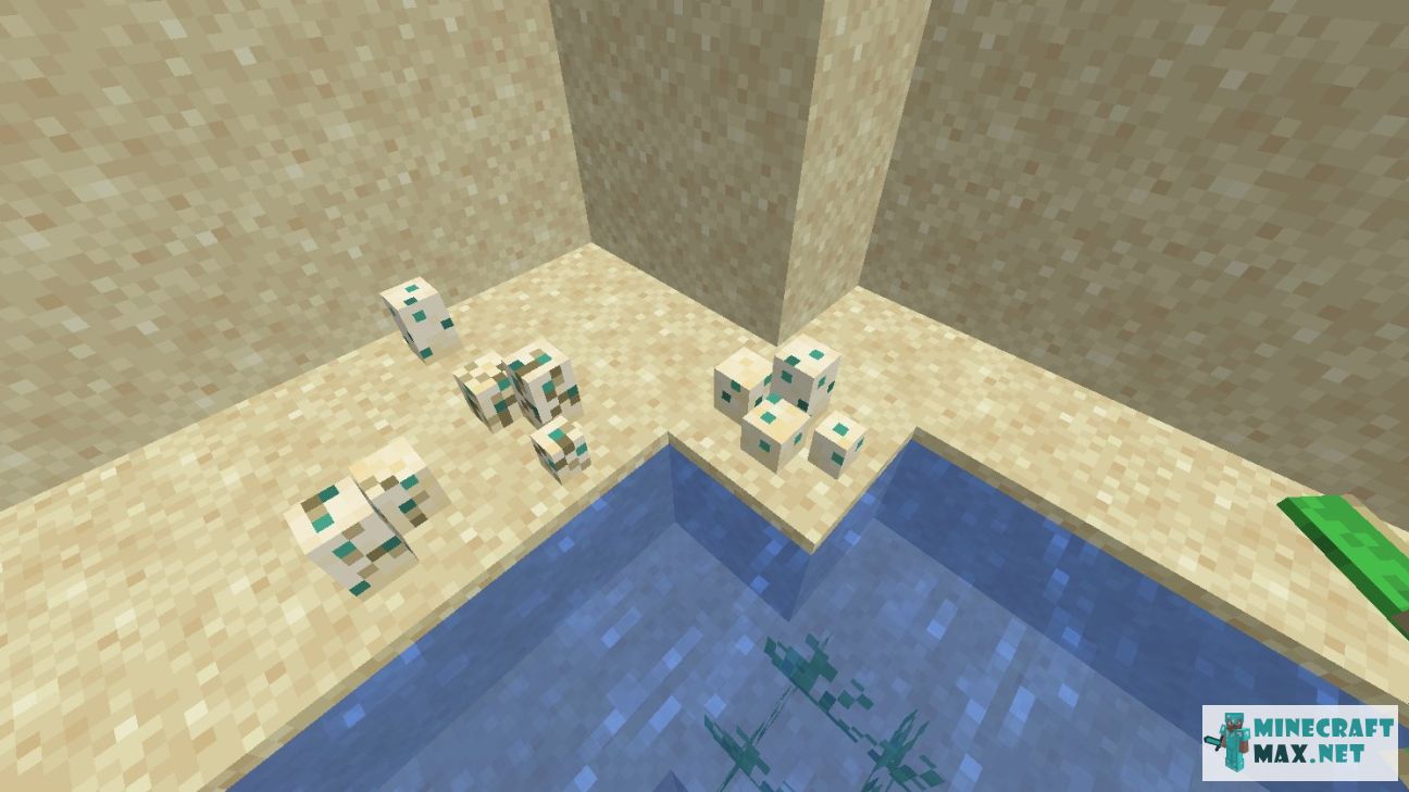 Turtle Egg in Minecraft | Screenshot 1