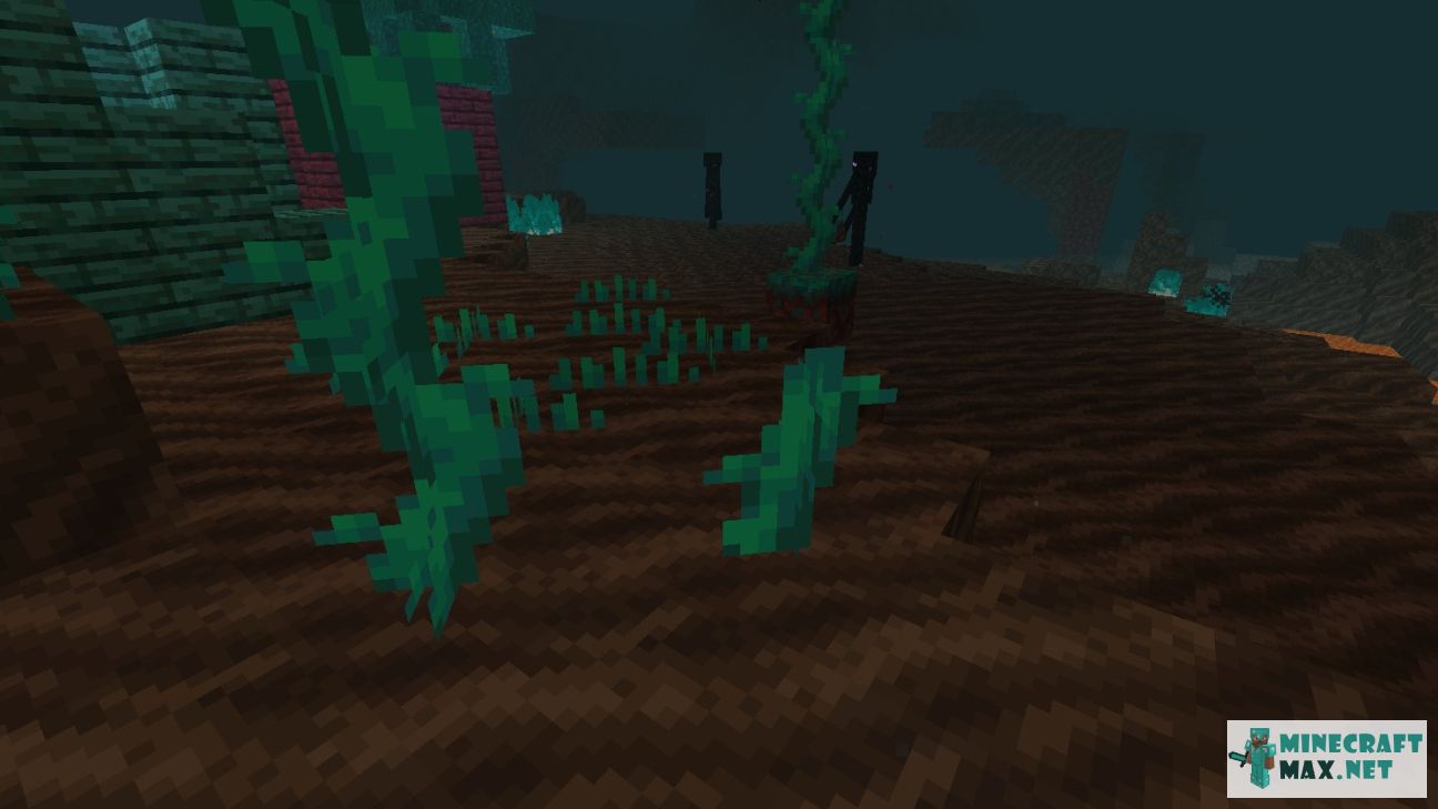 Black gem in Minecraft | Screenshot 1999