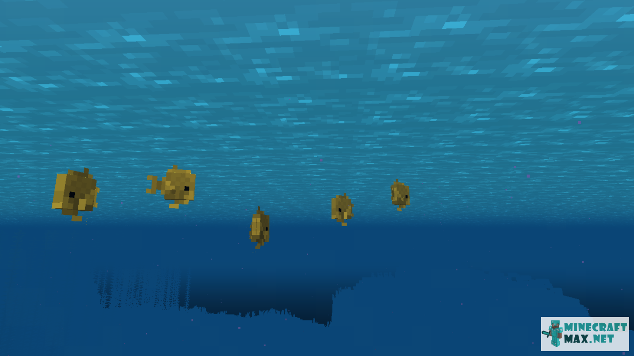 Tropical Fish Spawn Egg in Minecraft | Screenshot 2