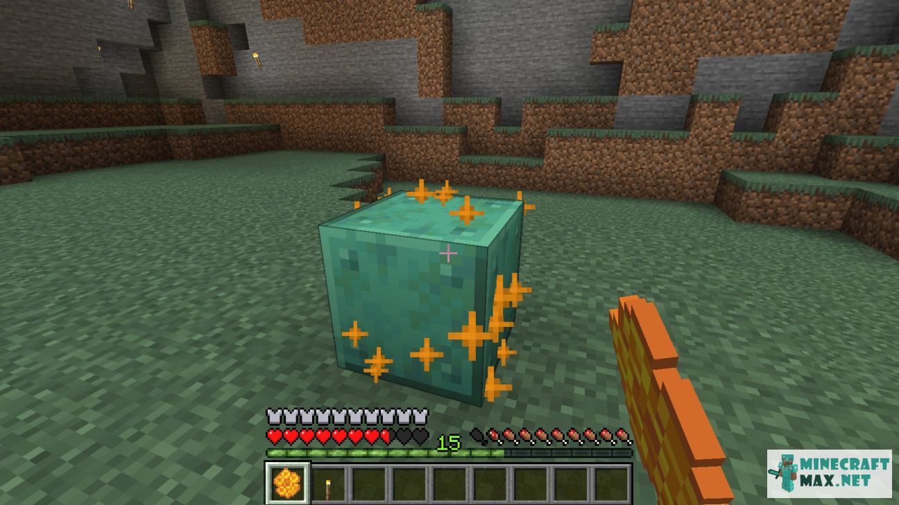 Modem in Minecraft | Screenshot 3367